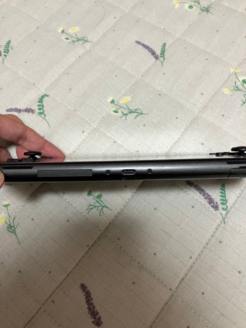 Nintendo Switch Lite ディアルガ　パルキア　ポケモン