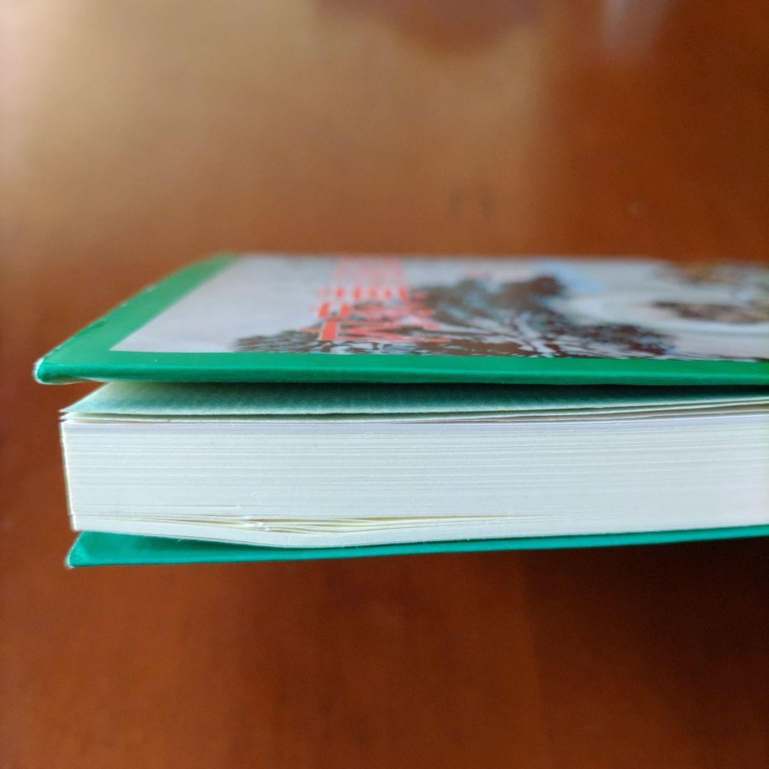 内家拳 秘伝口訣 佐藤金兵衛著 メルカリ限定出品