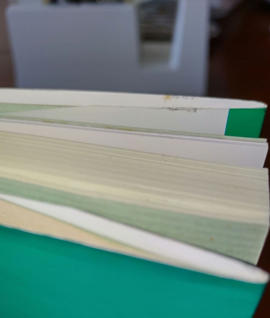 内家拳 秘伝口訣 佐藤金兵衛著 メルカリ限定出品