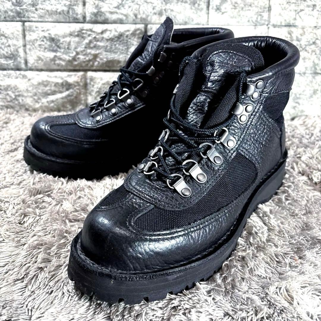 ダナー 廃番 20917X 限定カラー フェザーライト バイソン USA製GTX