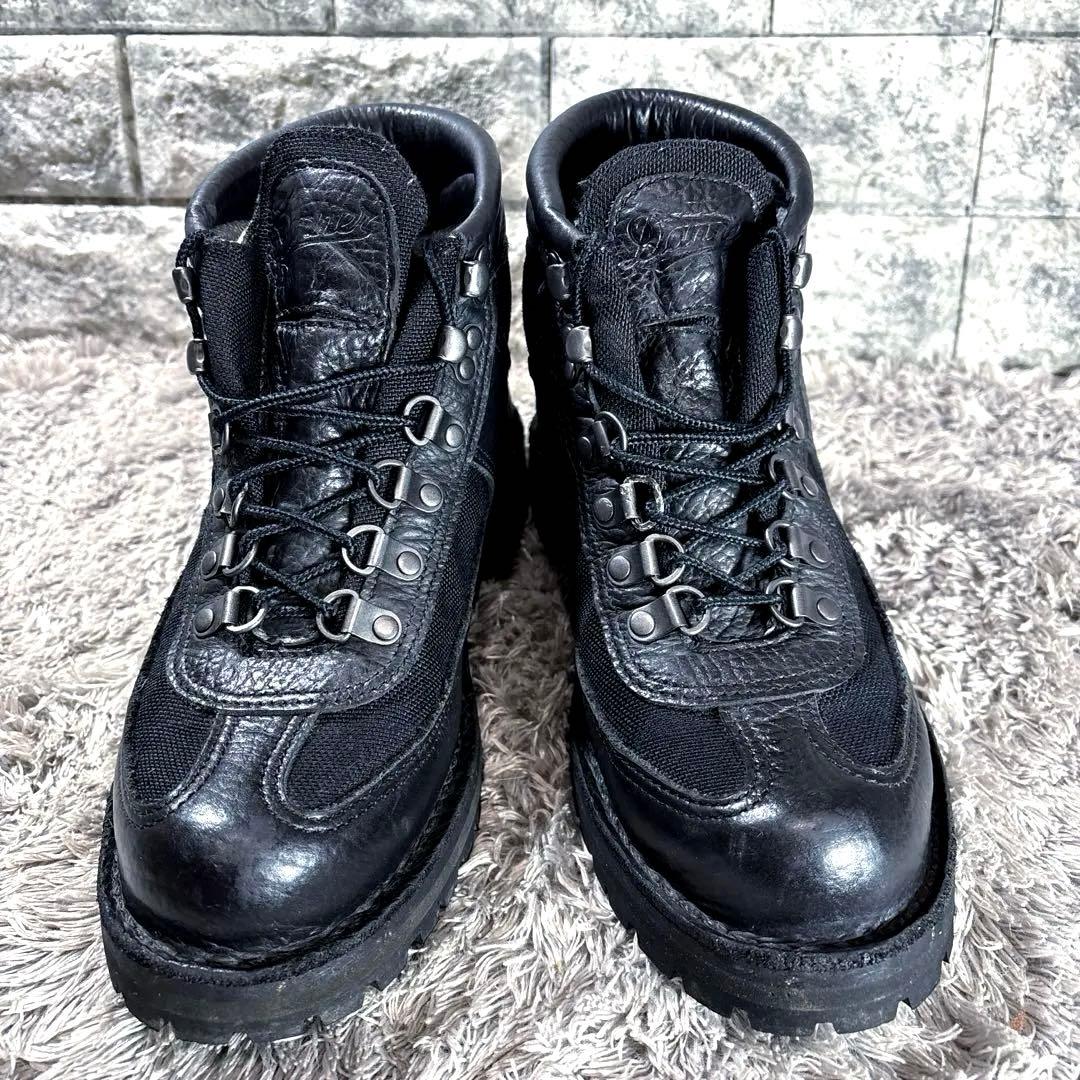 ダナー 廃番 20917X 限定カラー フェザーライト バイソン USA製GTX