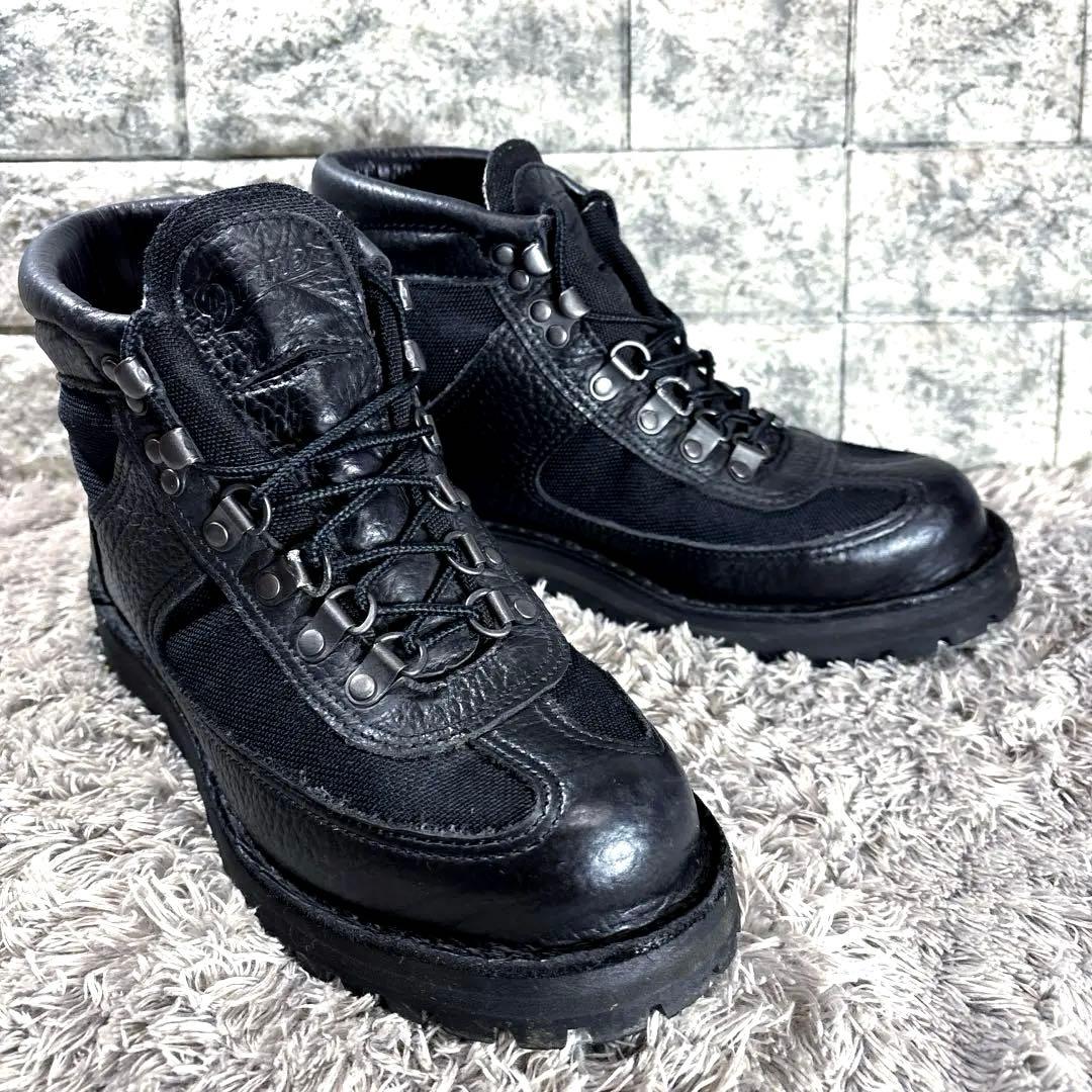 ダナー 廃番 20917X 限定カラー フェザーライト バイソン USA製GTX