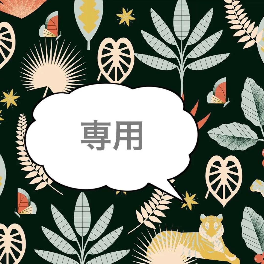 有田焼　いちごのお皿　オーバルプレート　カレー皿　徳七窯　一珍