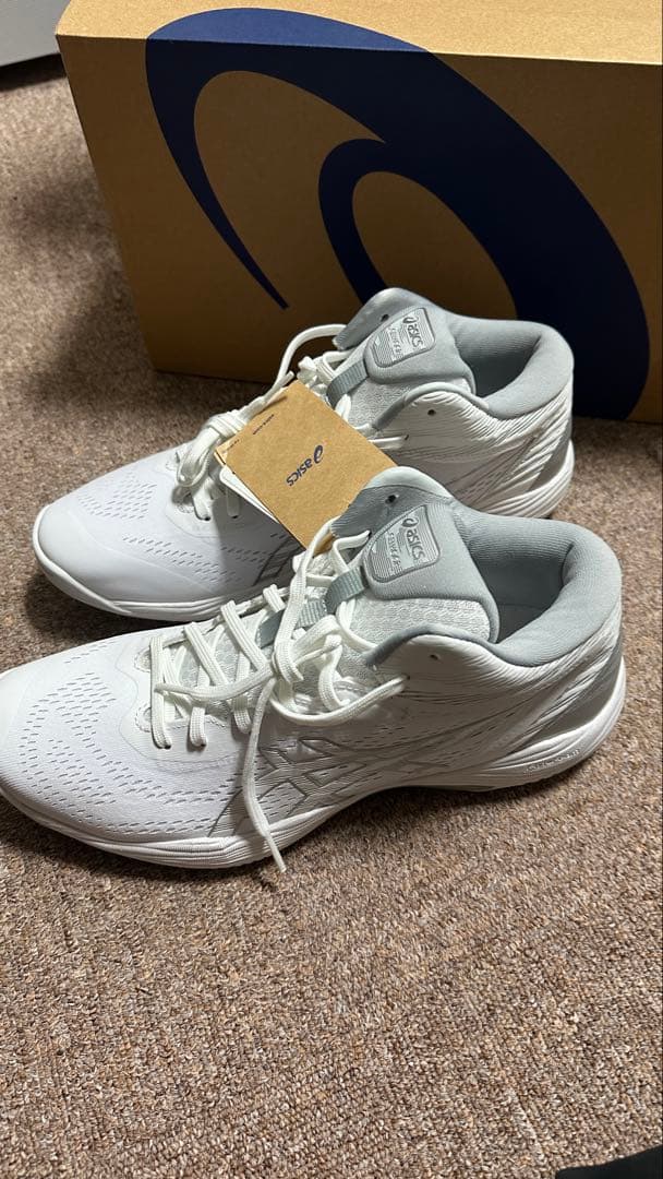 ASICS GEL HOOP V14バスケットボールシューズ 28.0cm