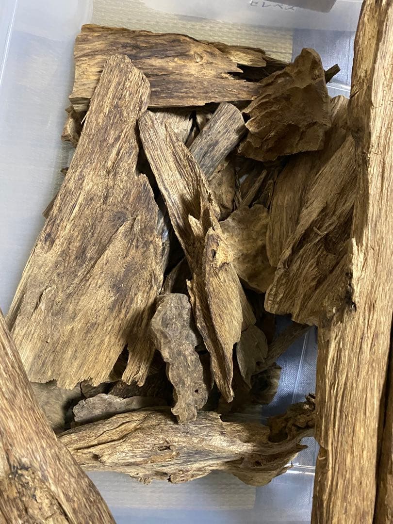 ユキサンプルセット