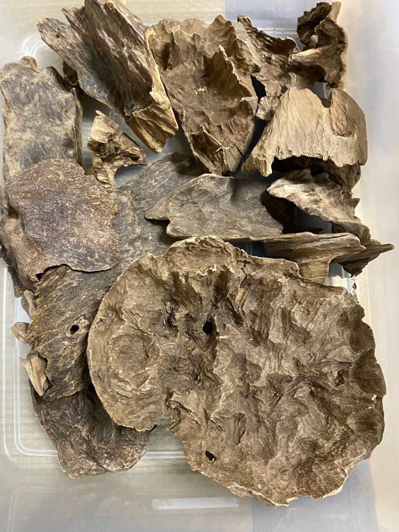 ユキサンプルセット