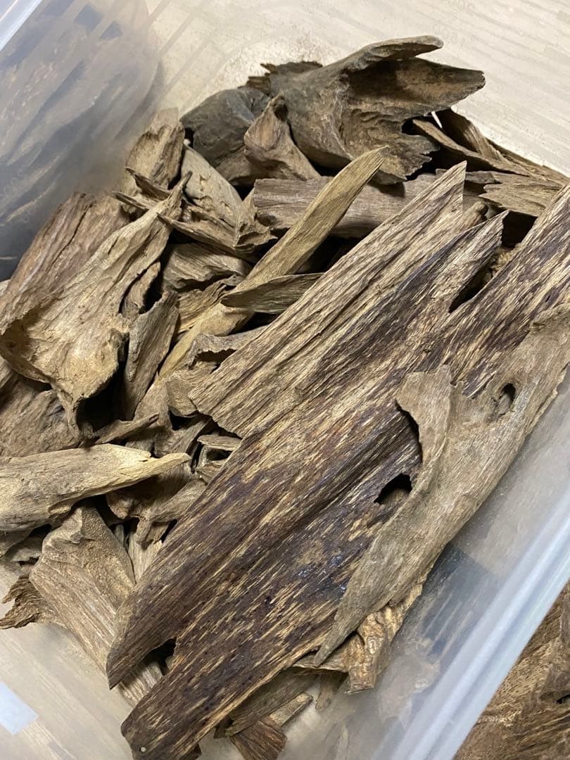 ユキサンプルセット