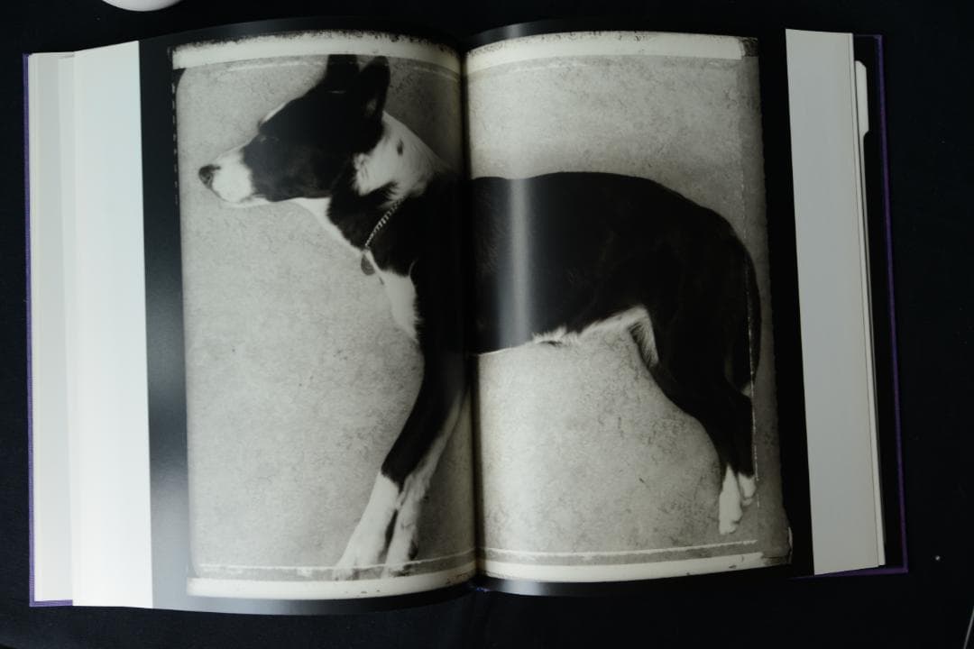 【Celine Van Balen 】 Remco Campert (著)