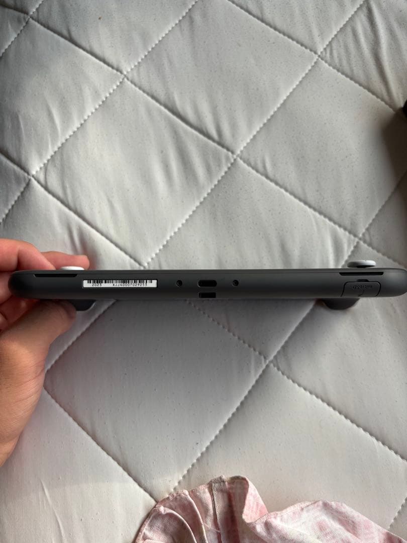 石*渡様 Nintendo Switch Lite グレー 本体