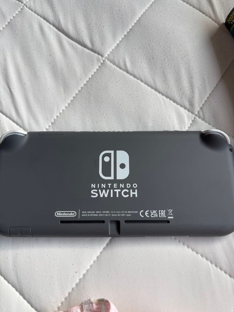 石*渡様 Nintendo Switch Lite グレー 本体
