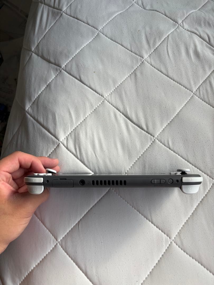 石*渡様 Nintendo Switch Lite グレー 本体