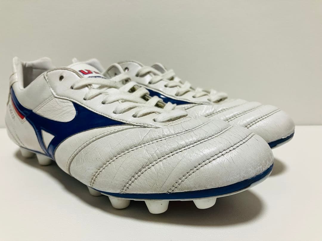 【値下げ】限定カラー　モレリアII Japan 26.5cm