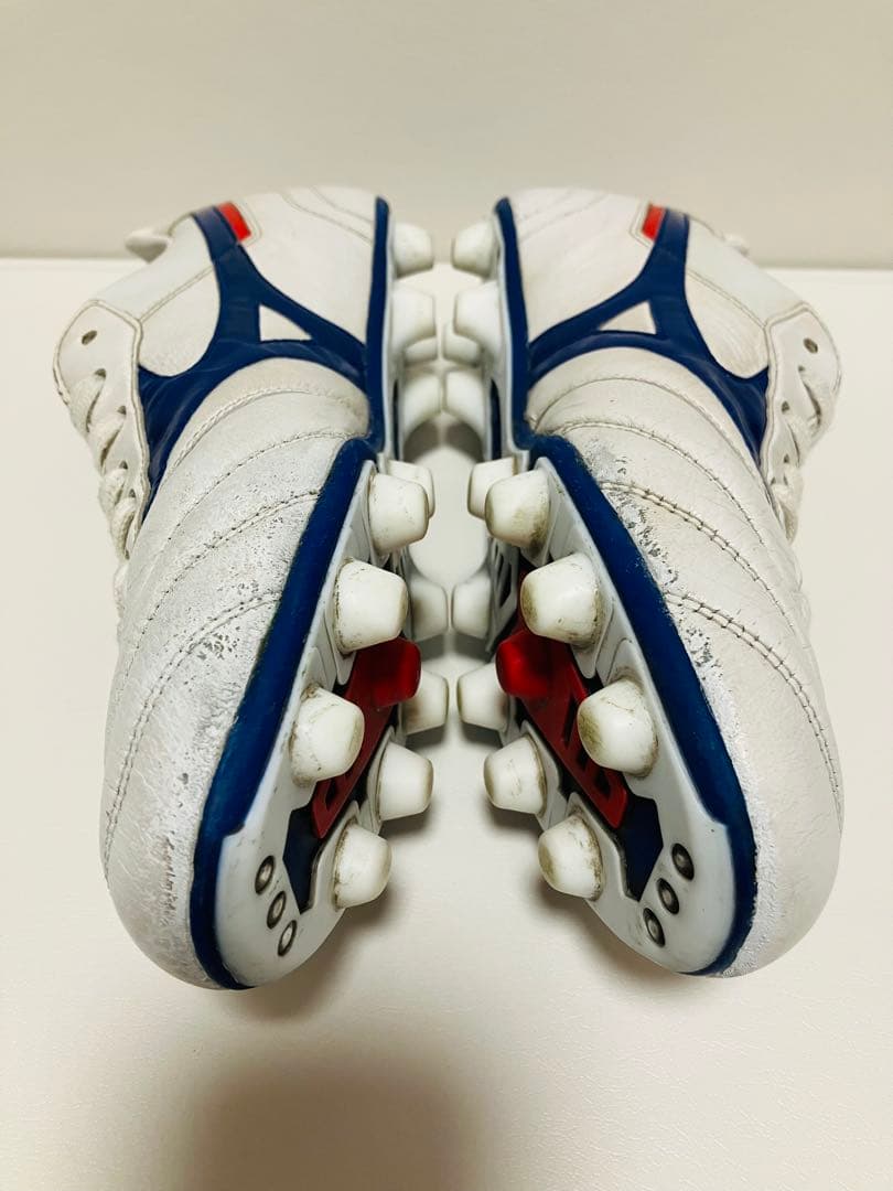 【値下げ】限定カラー　モレリアII Japan 26.5cm