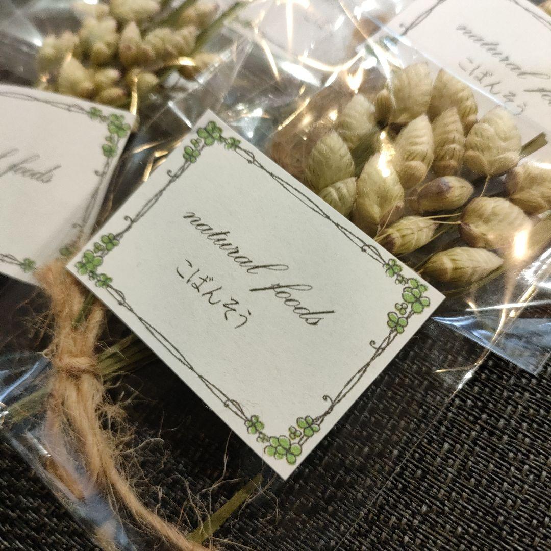 【ギフト用】乾燥野草フルーツ詰め合わせ　小動物　おやつ