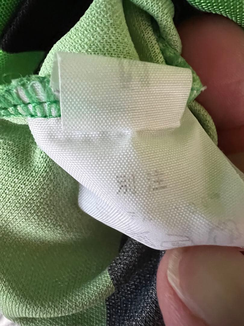 サッカー　高校　広島皆実　学園　選抜　日本代表　大学　スイカ　サッカー部　育英