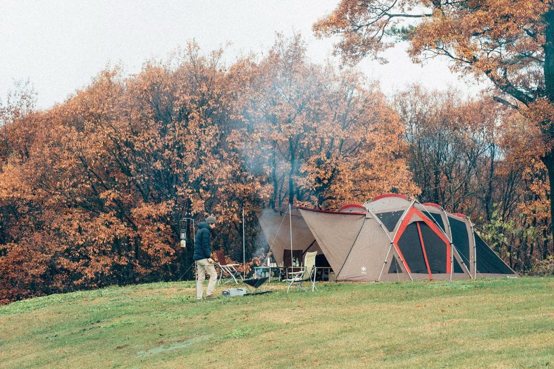 新品・未開封 ｜ リビングシェルロングPro. TP-660  peak