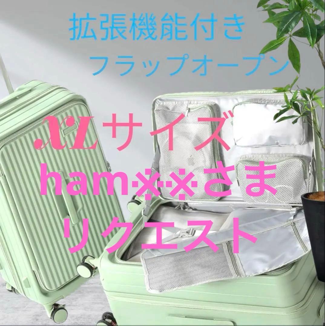 スーツケース XLサイズ 大型（10泊/85-100Ｌ） フラップオープン 拡張