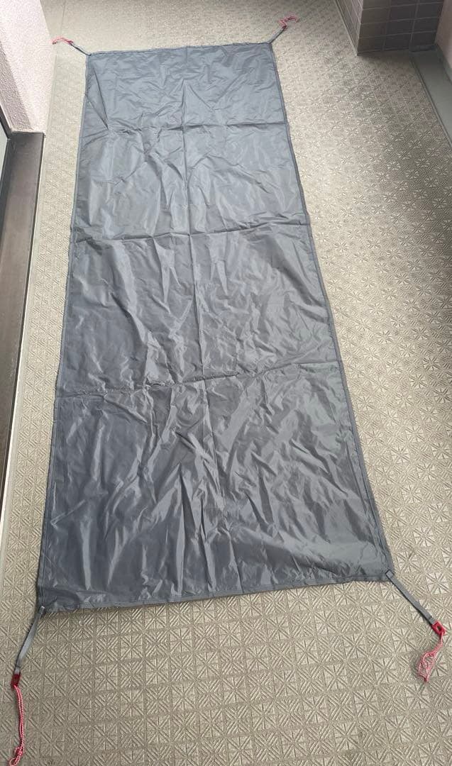 MSR ELIXIR 1 エリクサー1テント グリーン