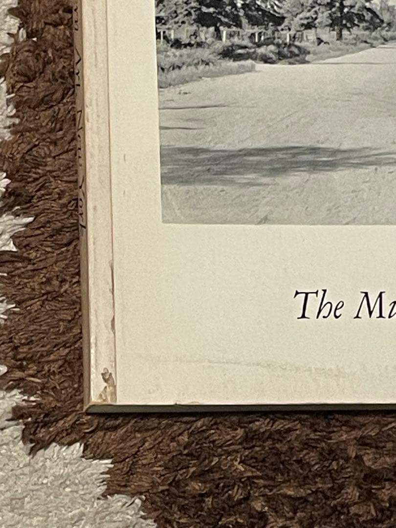 Walker Evans 写真集 1971年製 MoMA ニューヨーク近代美術館