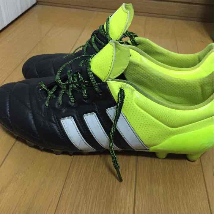 エース15.1ジャパンHG