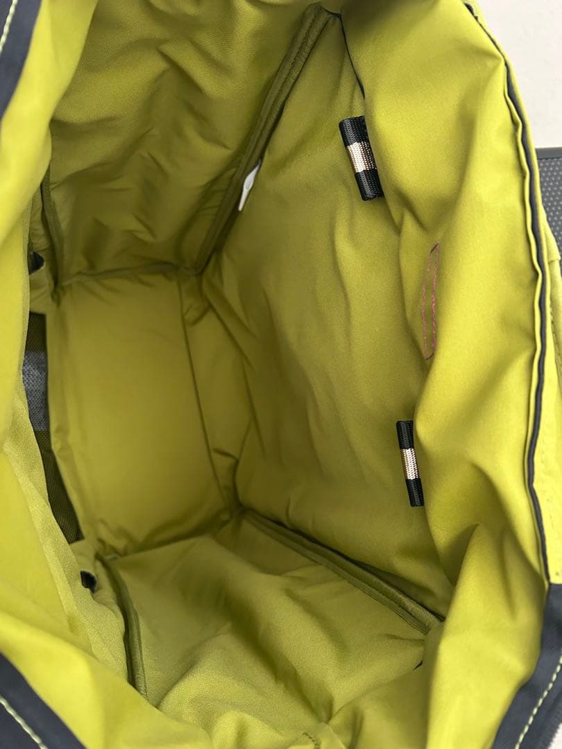 スワニー　キャリーバッグイス付き