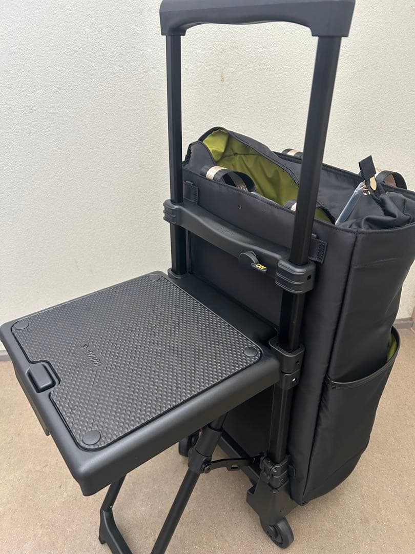 スワニー　キャリーバッグイス付き