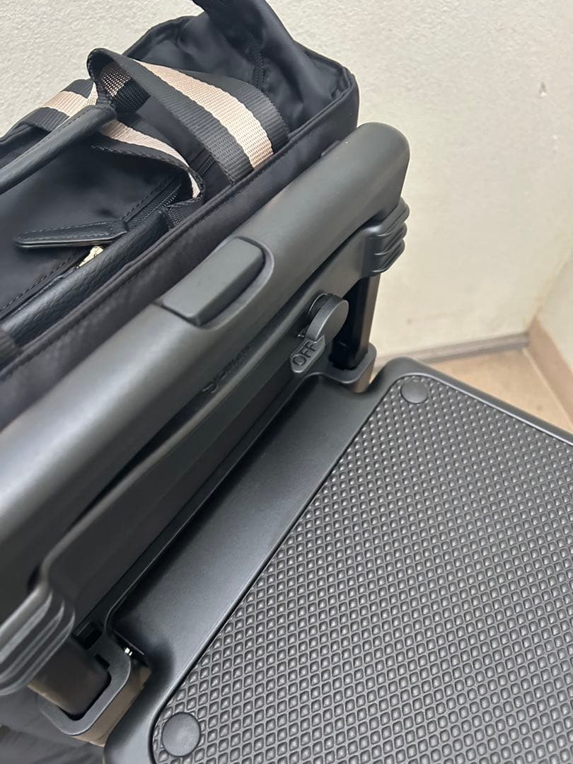 スワニー　キャリーバッグイス付き