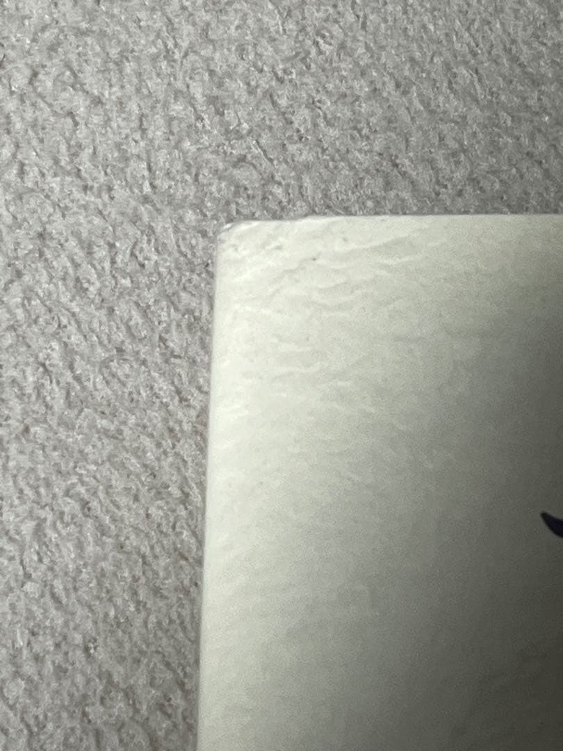 エリザベス・コステロ　クッツェー