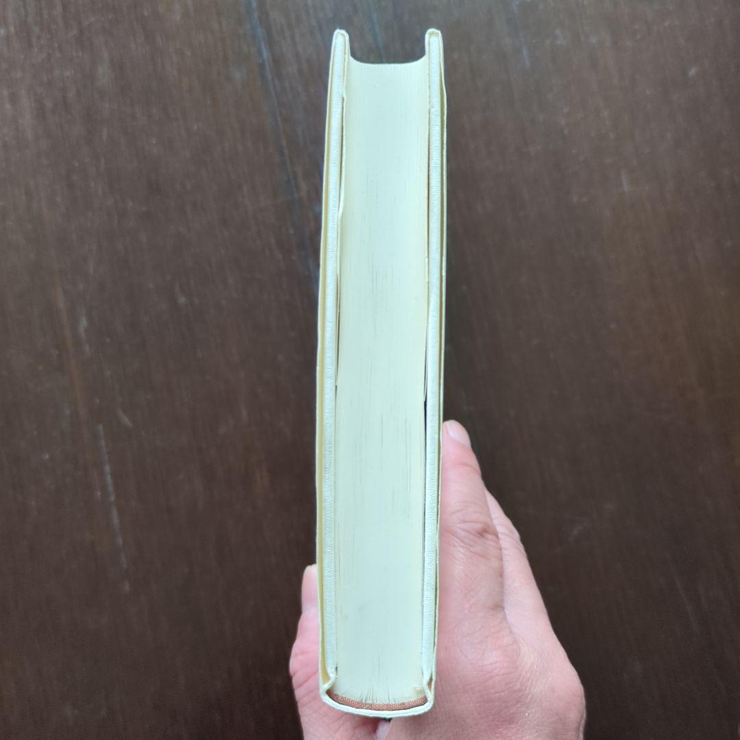 【稀少】主権国家体系の生成 : 「国際社会」認識の再検証