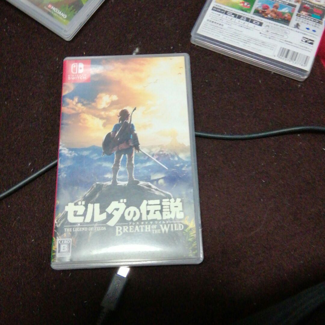 ゼルダの伝説 ブレス オブ ザ ワイルド