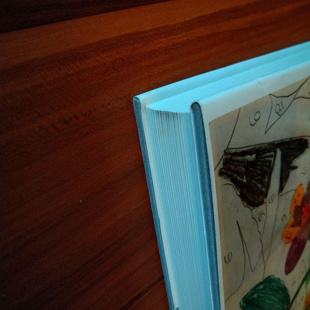 Andy Warhol: Drawings 1942–1987