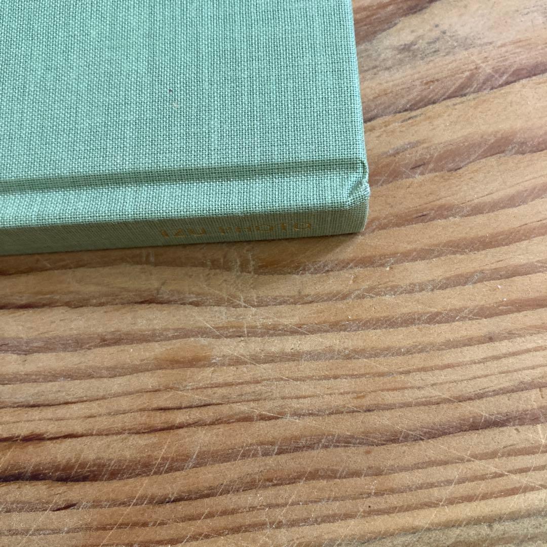 テリ・ワイフェンバックTerri Weifenbach: The May Sun