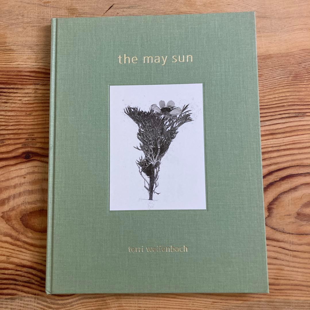 テリ・ワイフェンバックTerri Weifenbach: The May Sun