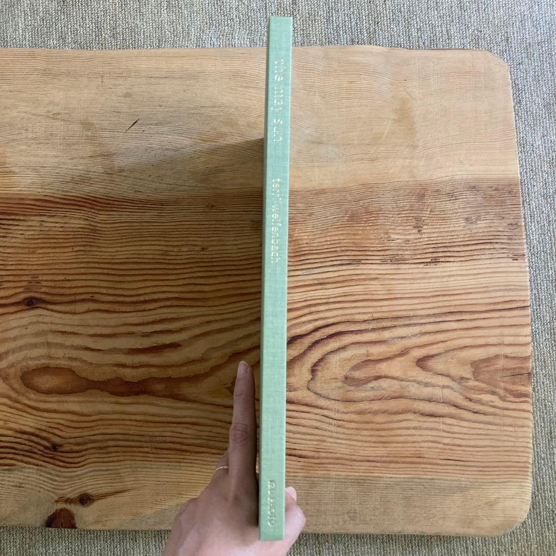 テリ・ワイフェンバックTerri Weifenbach: The May Sun