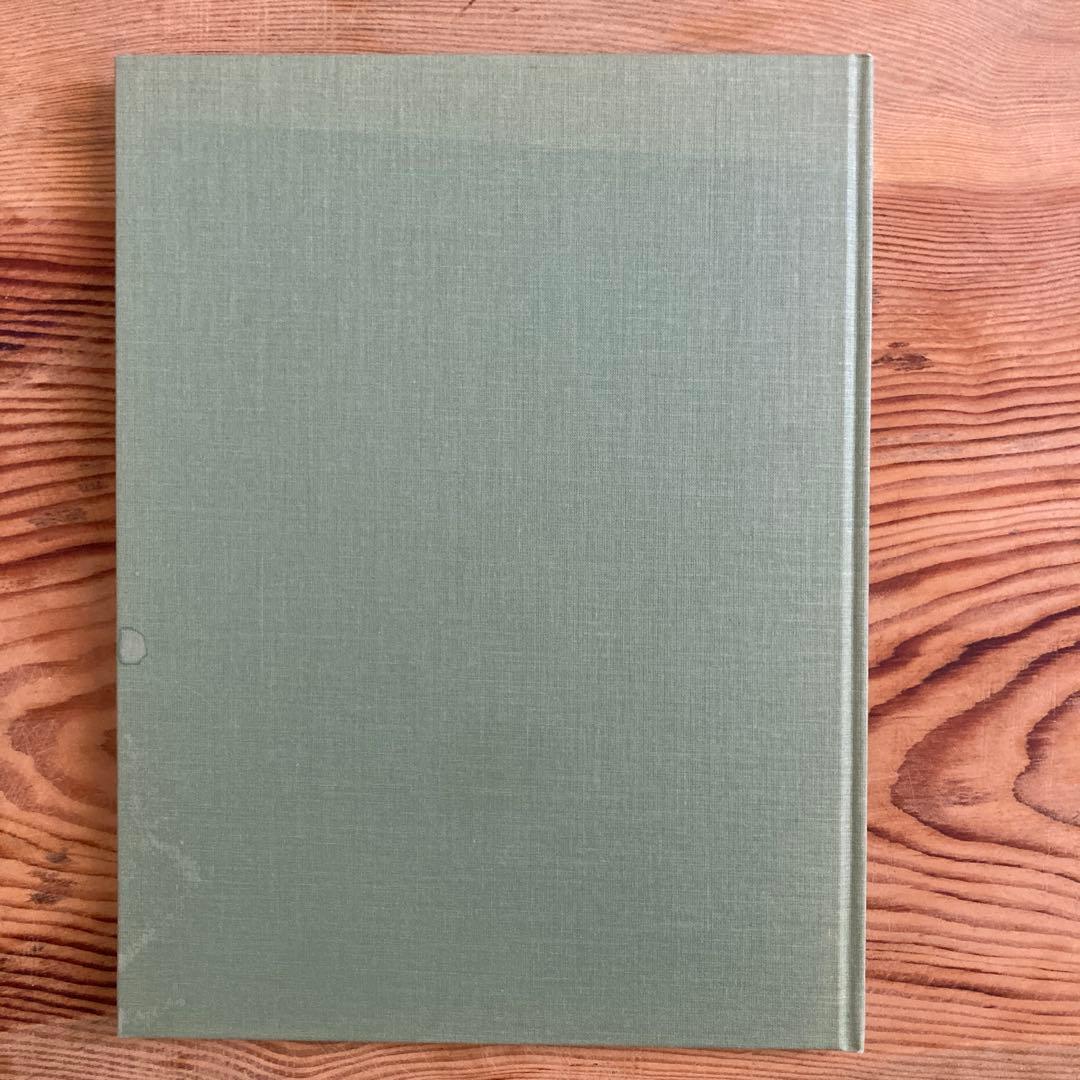 テリ・ワイフェンバックTerri Weifenbach: The May Sun