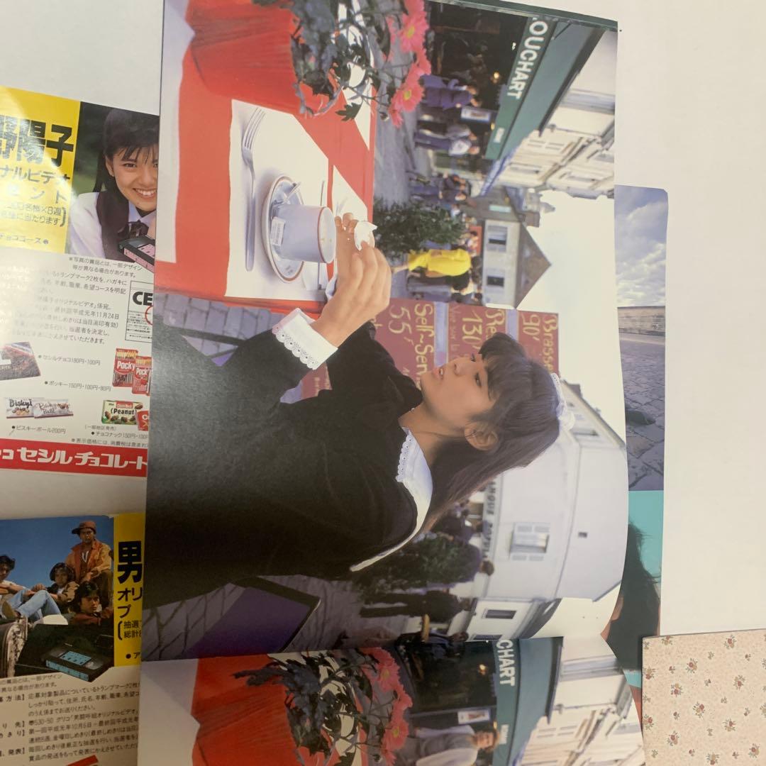 南野陽子 写真集とポストカードセット