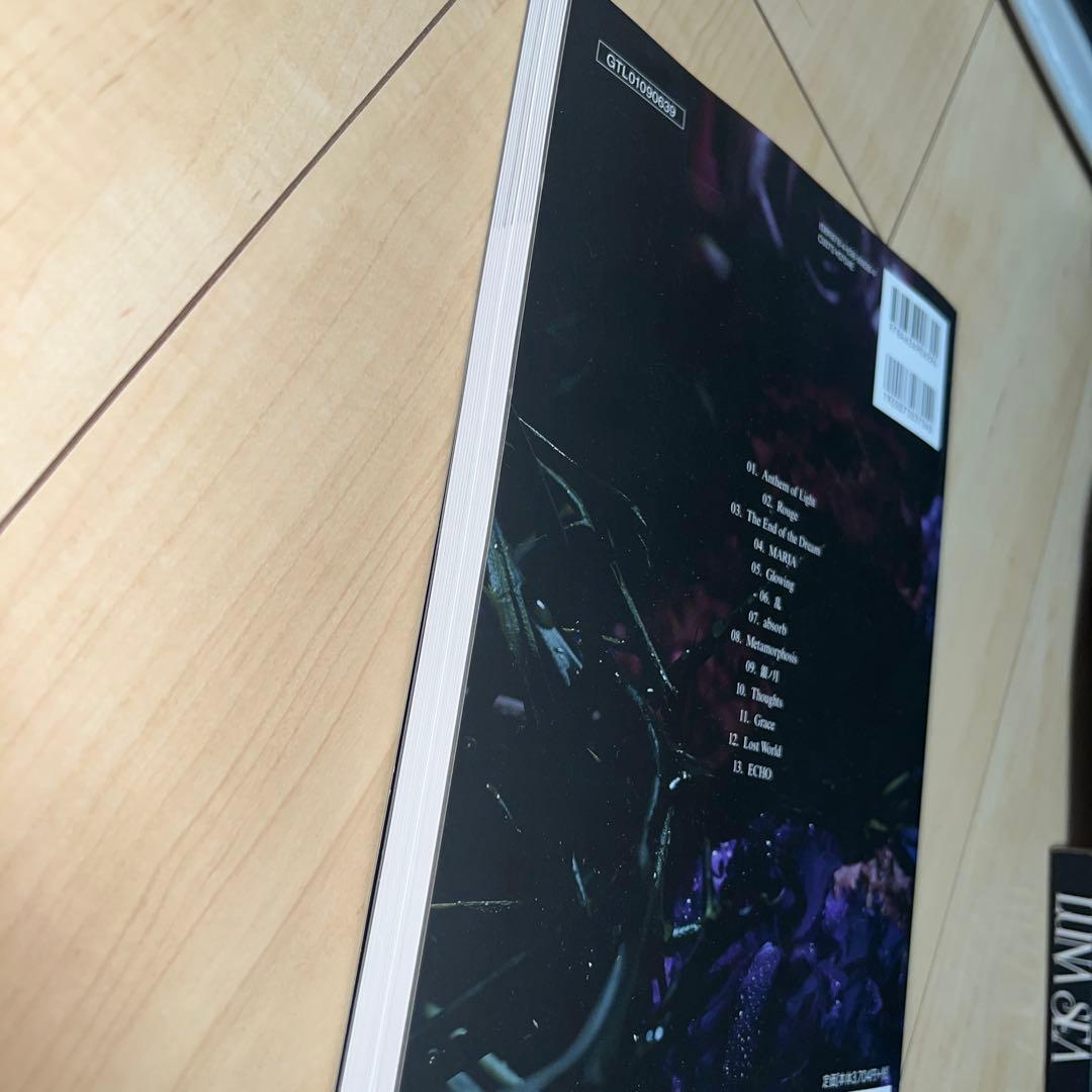 LUNA SEA AWILL スコア