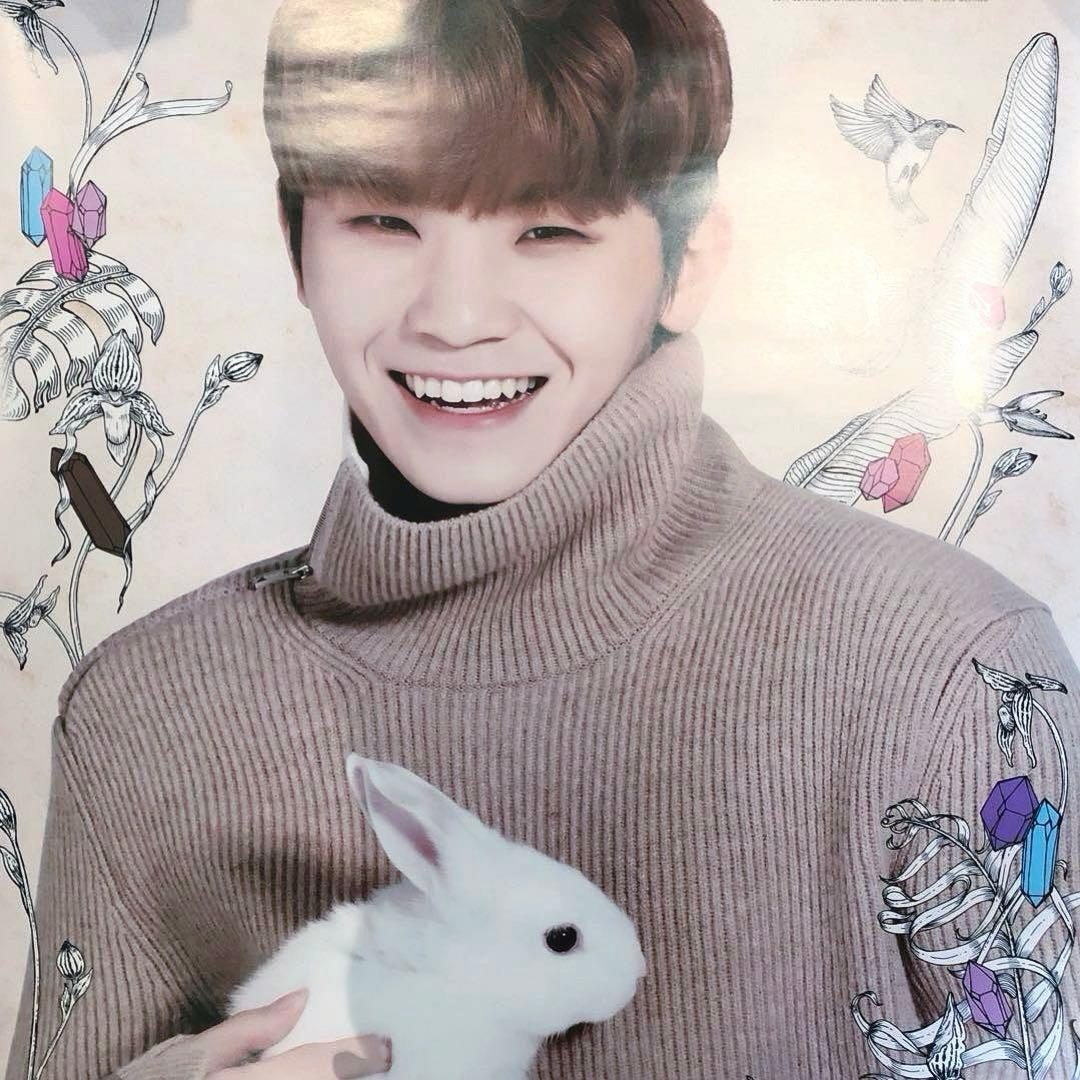 SEVENTEEN CARAT LAND ケレン ウジ ウサギ ポスター　ケレン