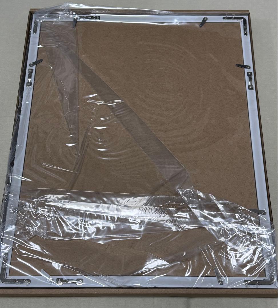 東方LUNA NIGHTS Switchデラックス版 限定A4ファイングラフ付き