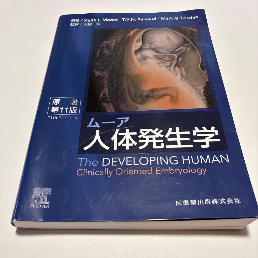 ムーア人体発生学原書第11版