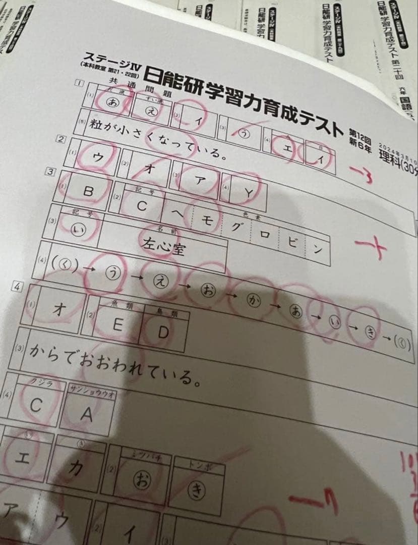 日能研2024年6年生前期育成テストフルセット