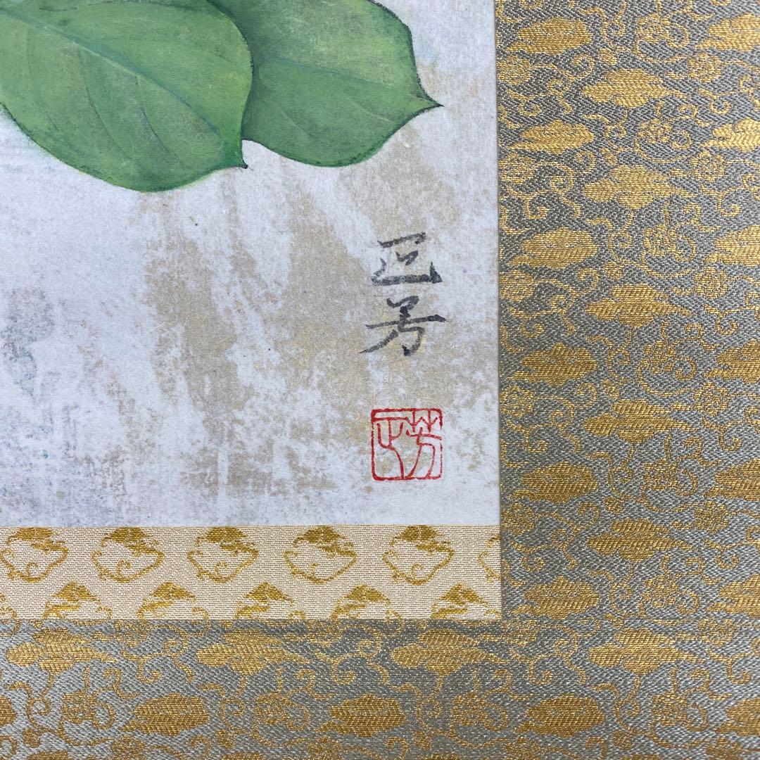 美品 掛け軸 大竹正芳作「朝涼」朝顔図 共箱 太巻き付 美術年鑑掲載