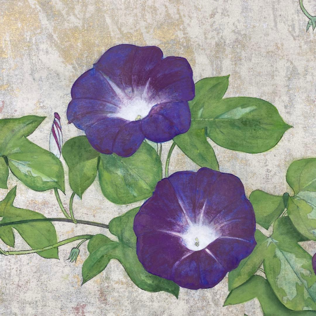 美品 掛け軸 大竹正芳作「朝涼」朝顔図 共箱 太巻き付 美術年鑑掲載