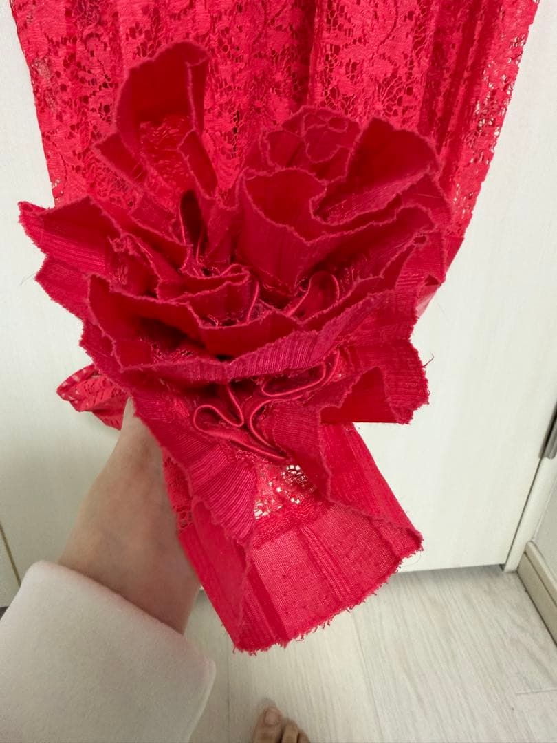 希少　タダシショウジ　tadashishoji ロングドレス