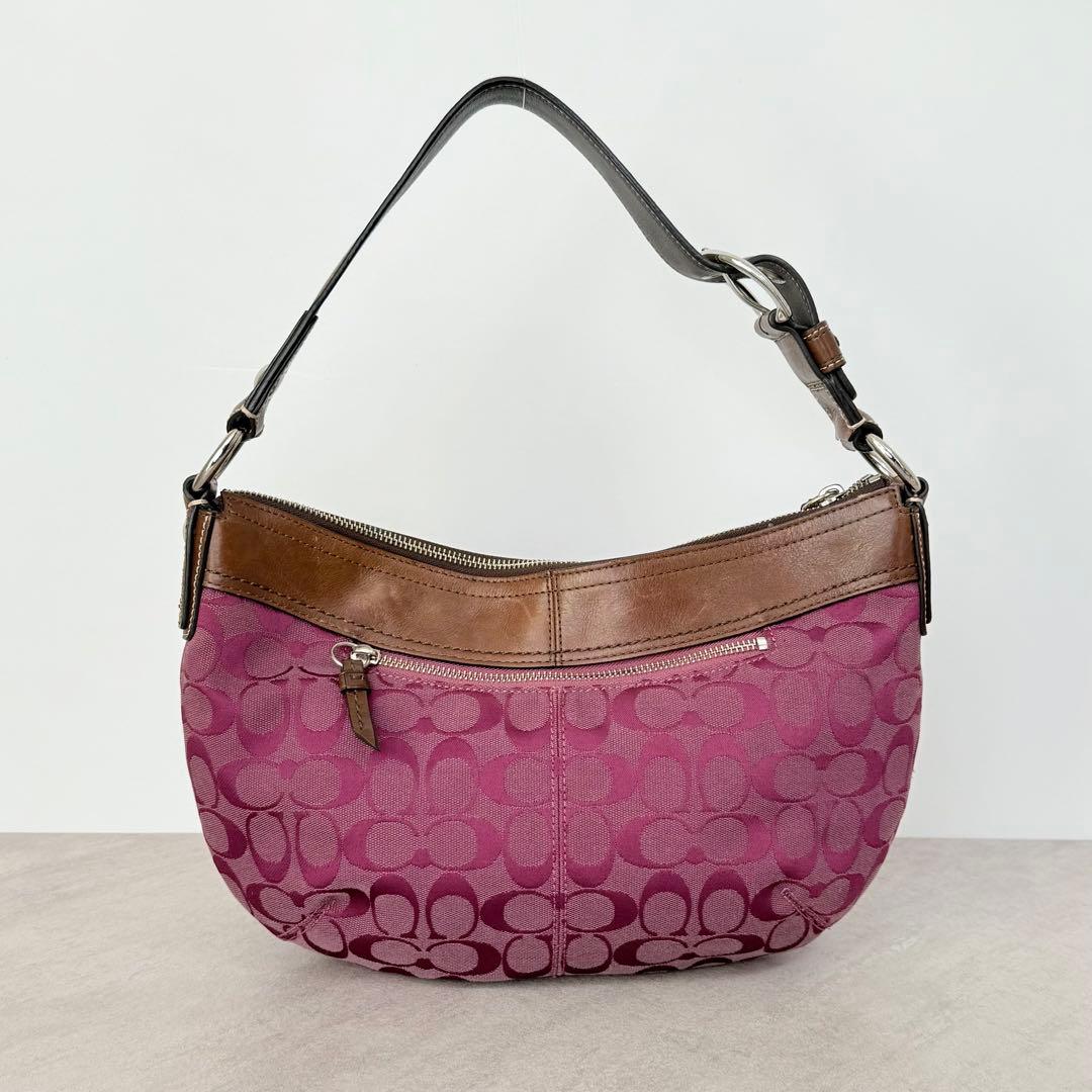 バッグ Coach Signature Soho Hobo Pleated Bag