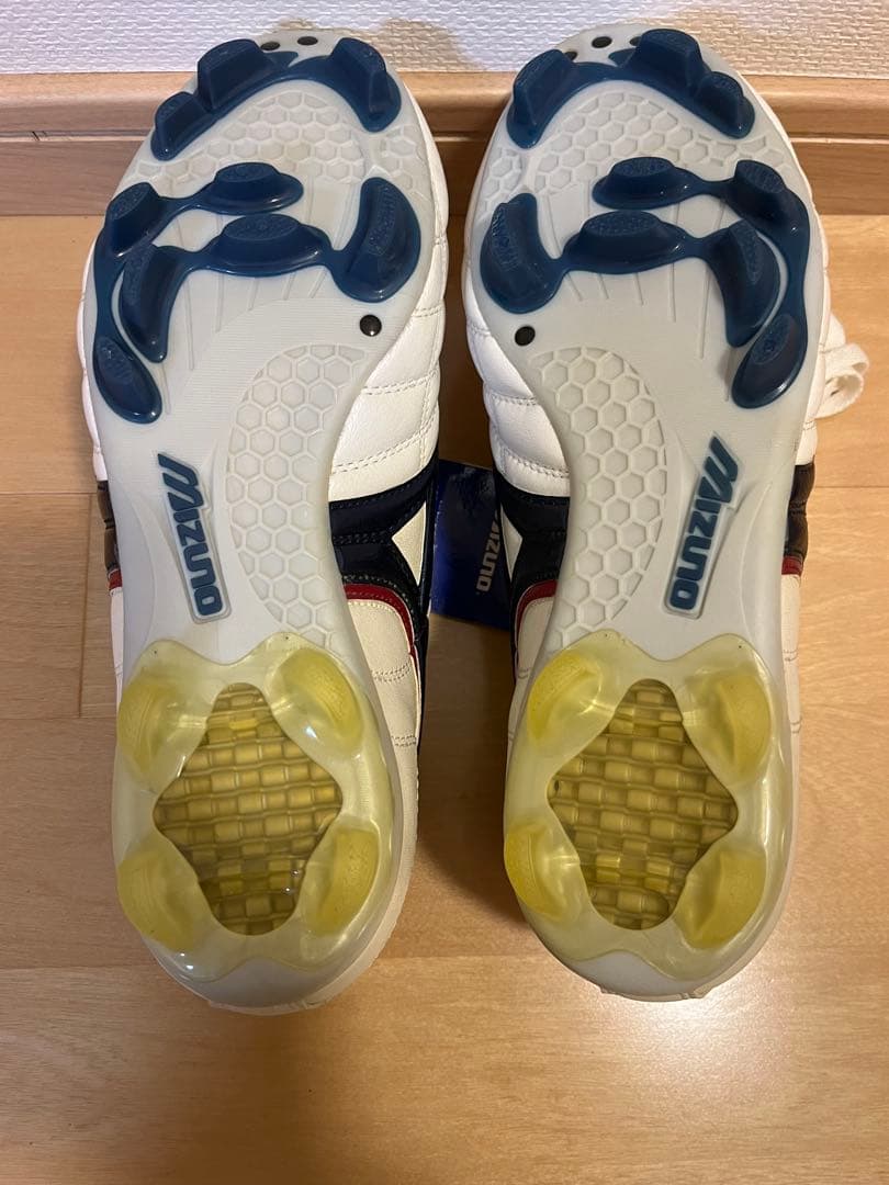 カ*ク様 Mizuno ウエーブカップ129P-35114 25.5cm