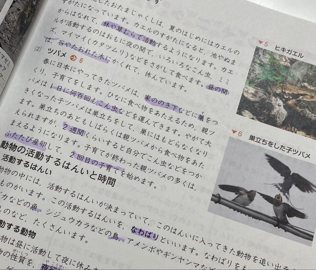 受験理科 4年 中学受験コース