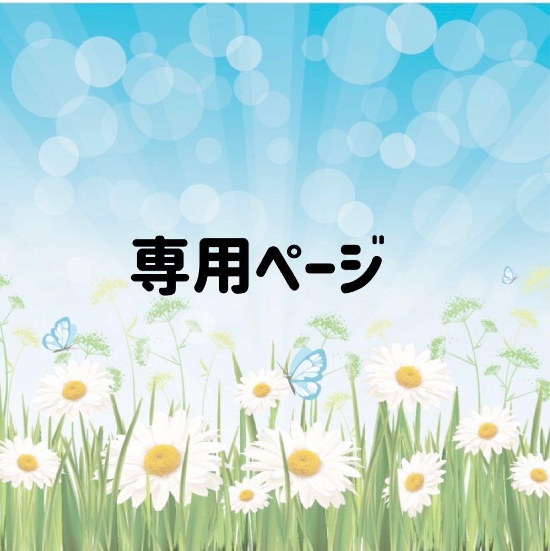 専用ページ　写真2-4枚目