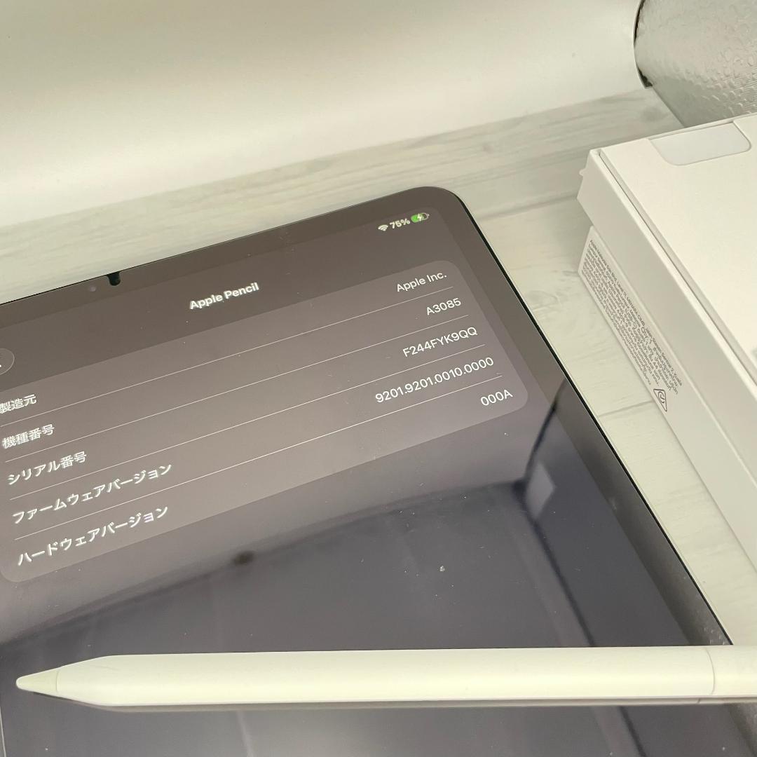 動作確認済み！【純正品】Apple Pencil USB-Cタイプ＋替え芯