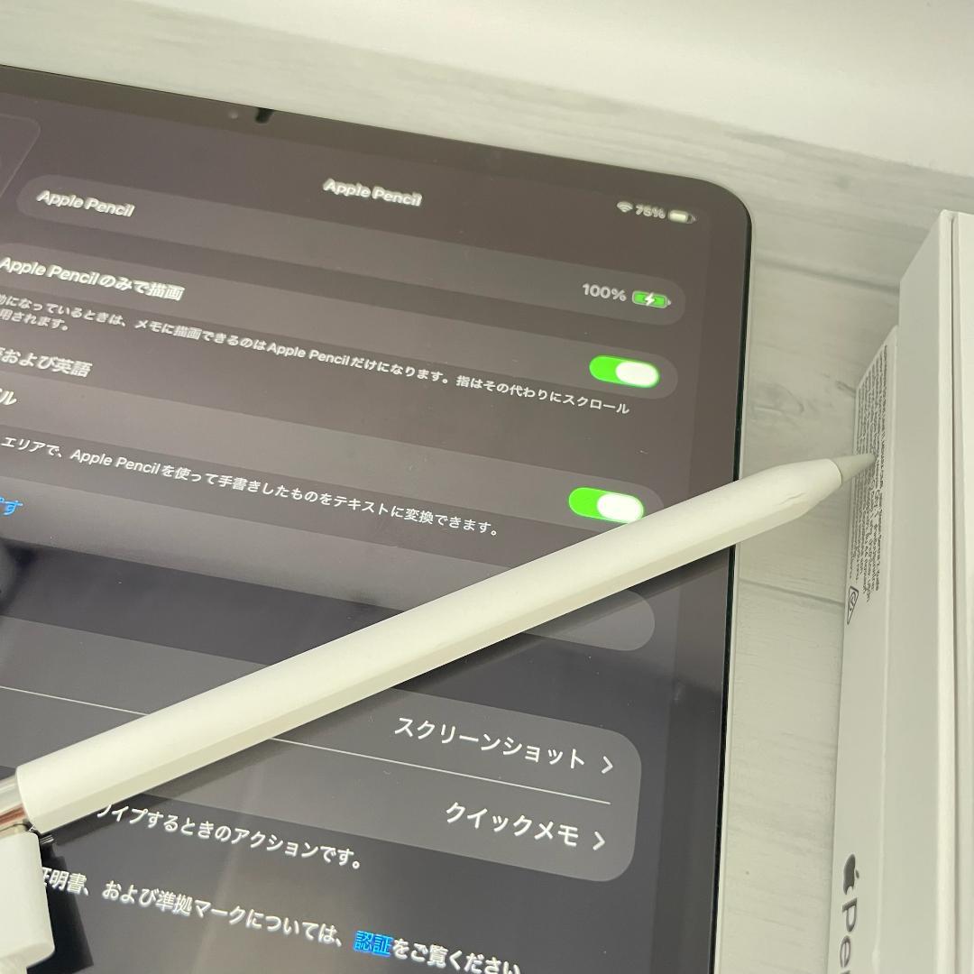 動作確認済み！【純正品】Apple Pencil USB-Cタイプ＋替え芯